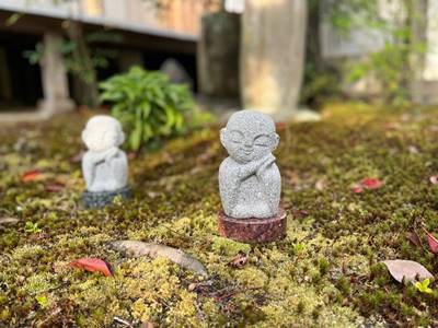 東福寺龍眠庵の樹木葬